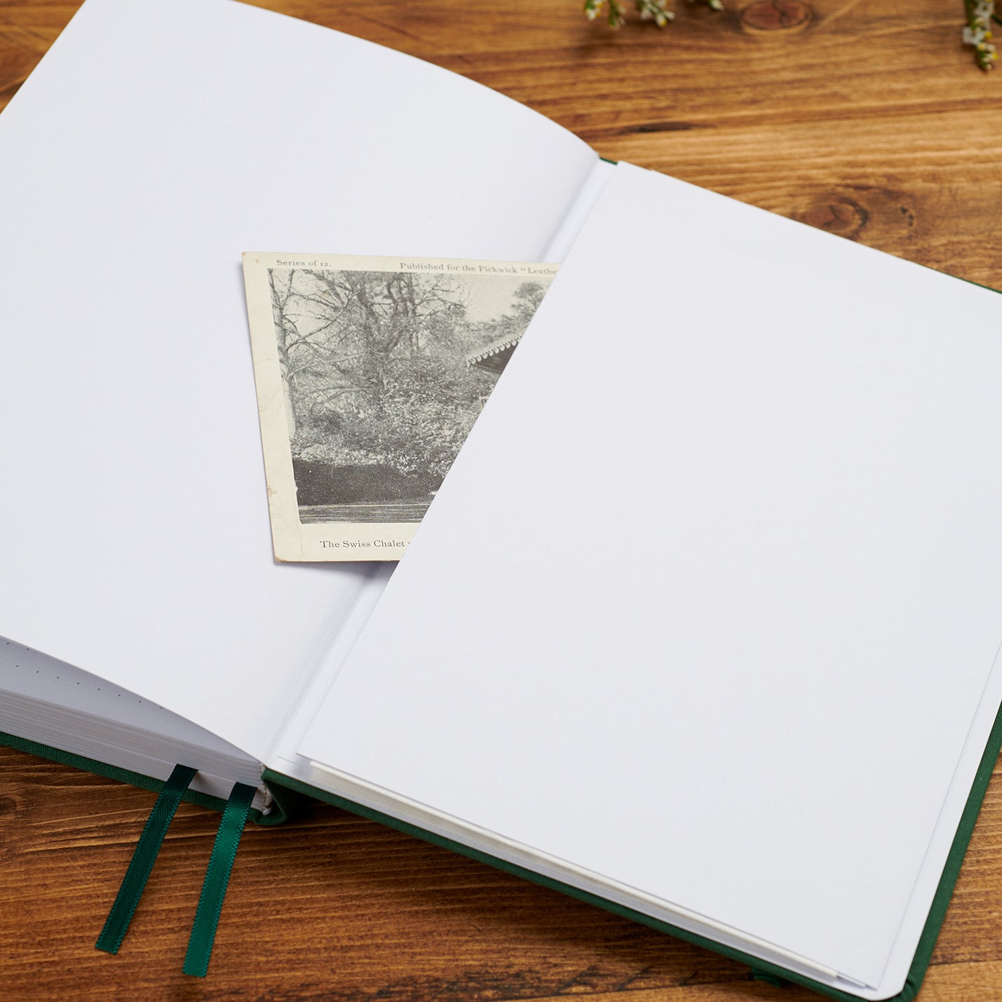 Back pocket of journal holding vintage photograph and notes for keepsake memory storage.